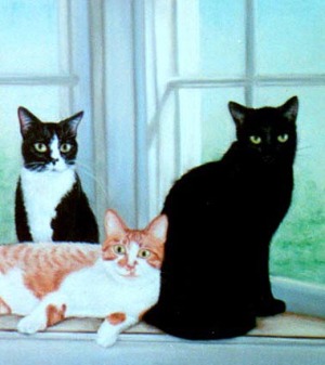 three cats in portrait