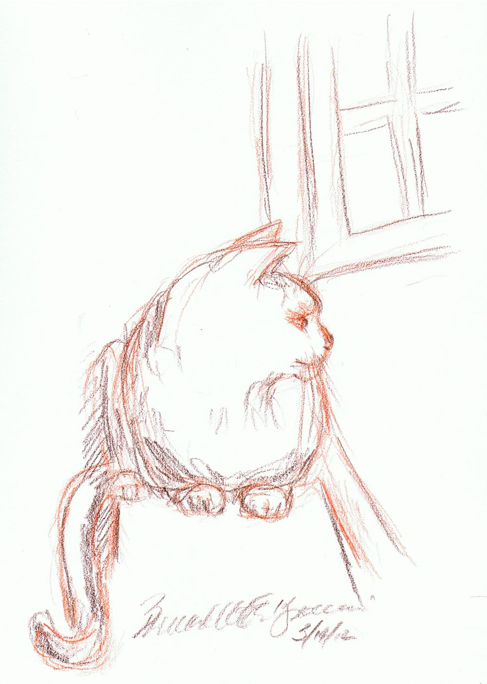 sketch of cat on windowsill