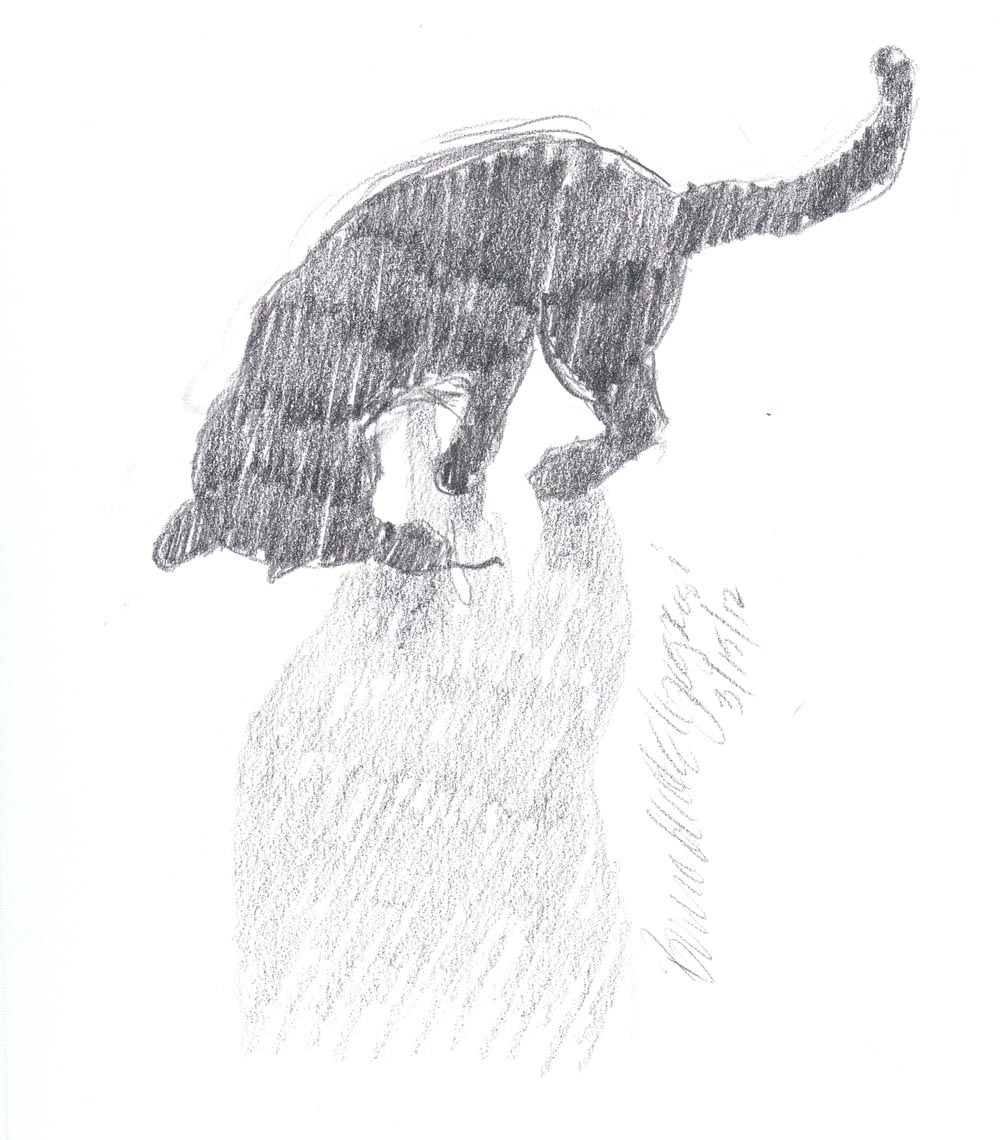 pencil sketch of cat playing in silhouette