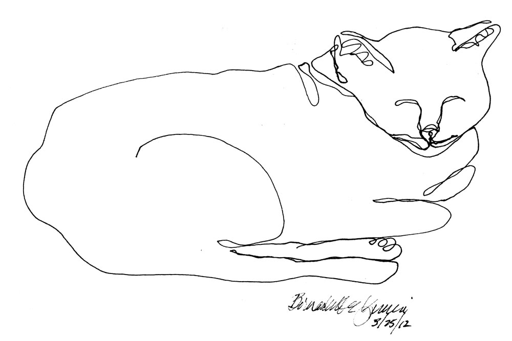 line drawing of cat