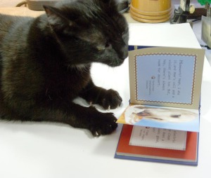 black cat turning pages in book