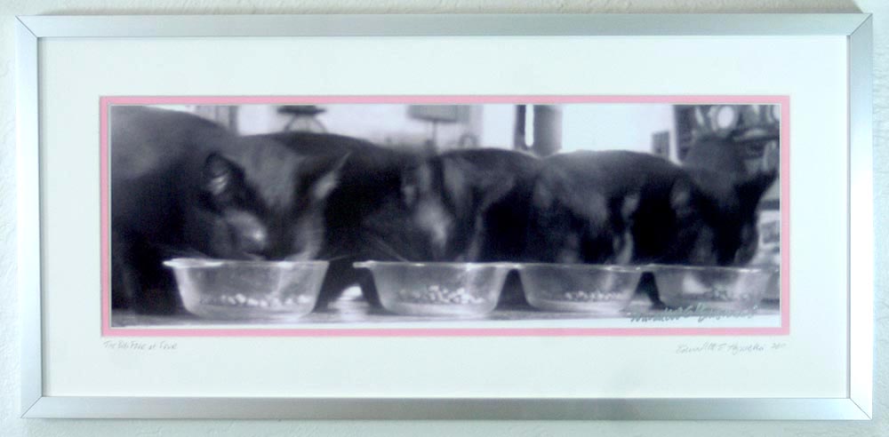matted framed photo of four black cats eating