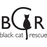 black cat rescue boston logo
