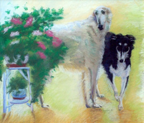 pastel painting of two borzoi dogs
