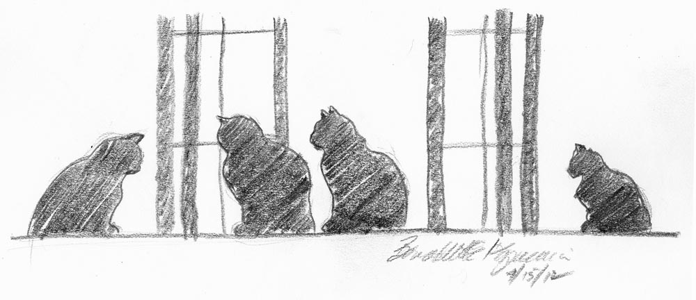 pencil sketch of four cats at a window