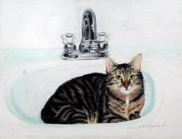 portrait of cat in sink