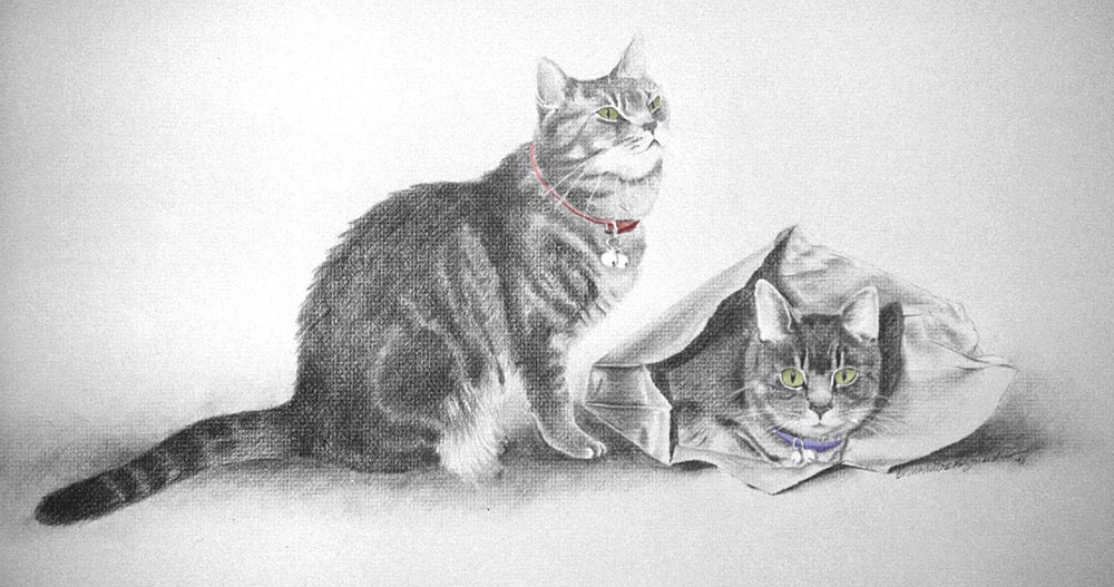 pencil portrait of two gray cats