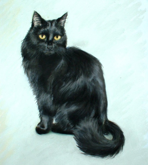 pastel portrait of long-haired black cat
