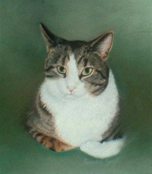 pastel portrait of tabby and white cat